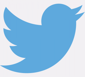 twitter_logo_twitter